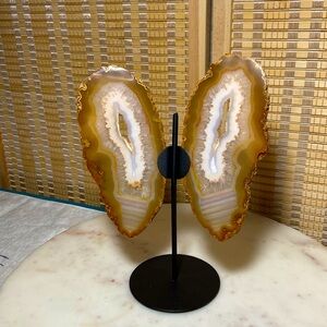 AGATA BUTTERFLY ON STAND